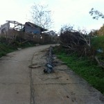 One of the houses that was destroyed in Bugabuga, the village we are working with.